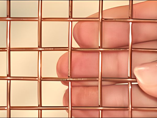 Phosphor Bronze Decorative Mesh